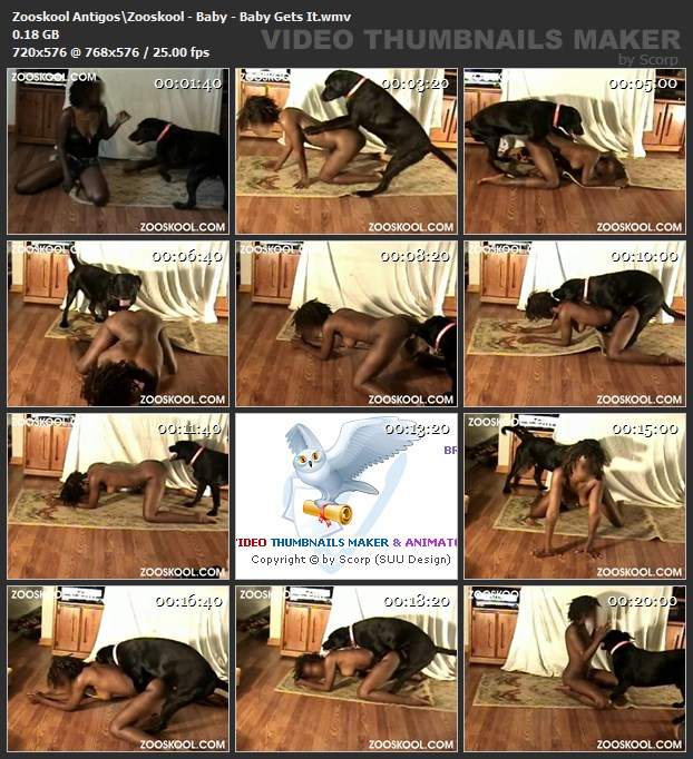 dogbond cachorro gozando Filmes para Download sexo com cavalos e uma MILF Raven, DogWoman, Alison, Yasmin, Gisele, Vixen, Cupcake, Lise, Sonia Zoofilia cavalo mete com força na buceta Vídeo de sexo bestial grátis